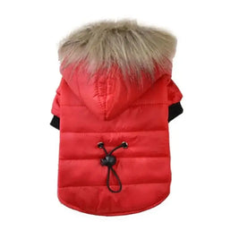 Chic Hooded Canine Coat