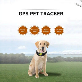 Smart Pet Locator Collar