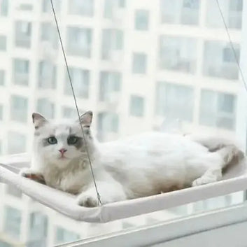 Pet Window Hammock