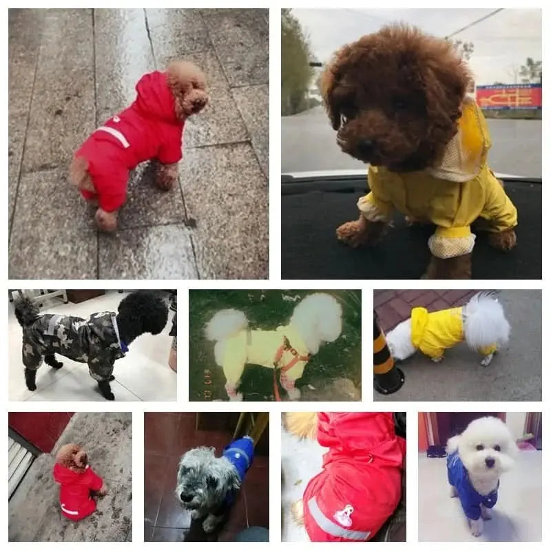 Stay Dry in Style: The Soft, Breathable Pet Raincoat