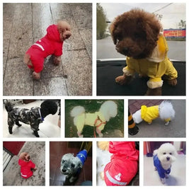 Stay Dry in Style: The Soft, Breathable Pet Raincoat