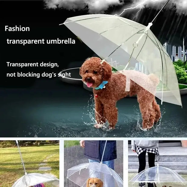 Canine Rain Shields