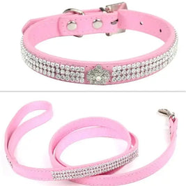 Stylish Pet Collar