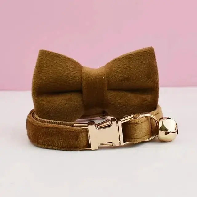 Elevated Velvet Collar