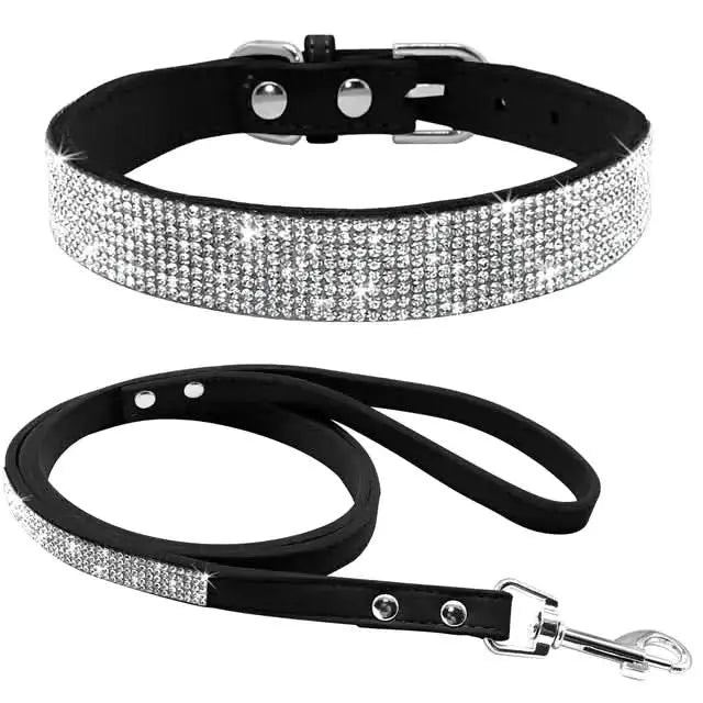 Stylish Pet Collar