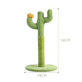 Scratching Cha Cha Cactus