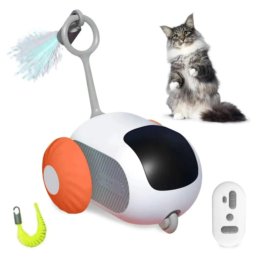 Smart Pet Playmate