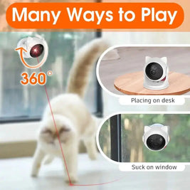 Smart Play Pet Toys