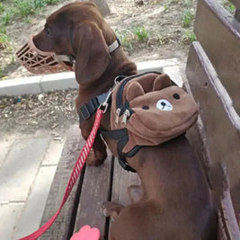 Comfy Pet Carrier Backpack