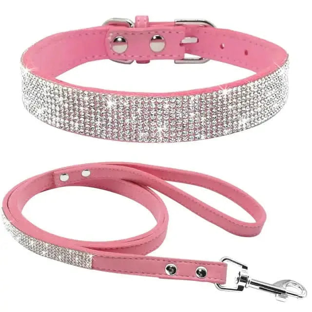 Stylish Pet Collar