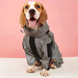 Visibility Enhanced Dog Raincoat