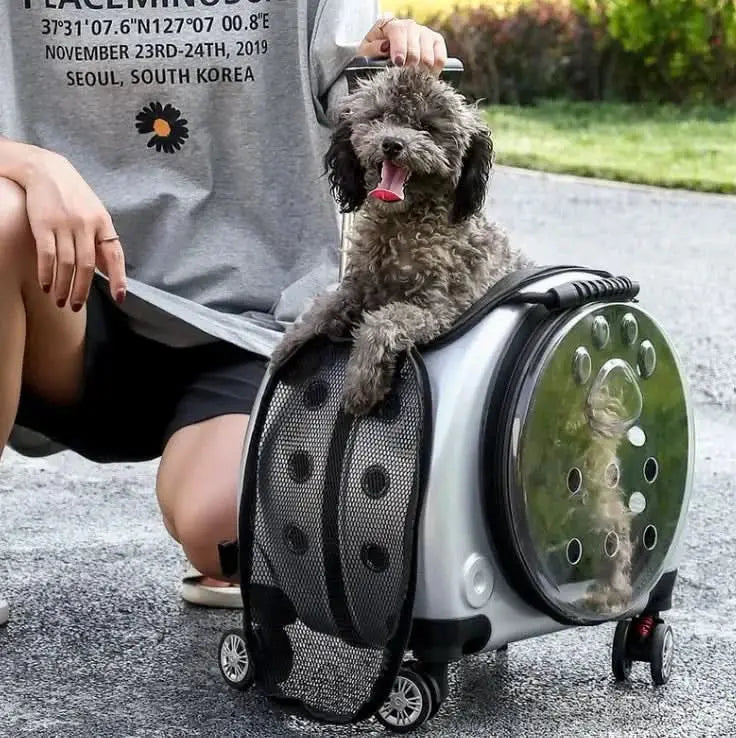 Elevated Pet Travel Trolley