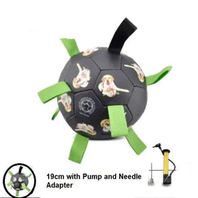 Interactive Pet Toy