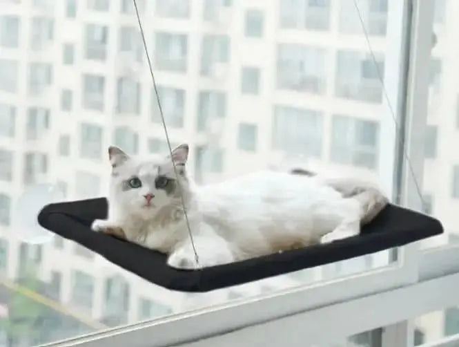 Pet Window Hammock