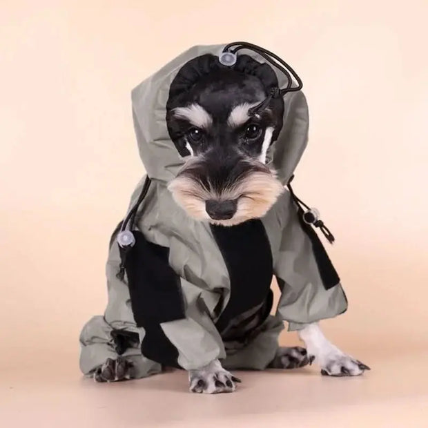 Visibility Enhanced Dog Raincoat