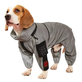 Visibility Enhanced Dog Raincoat