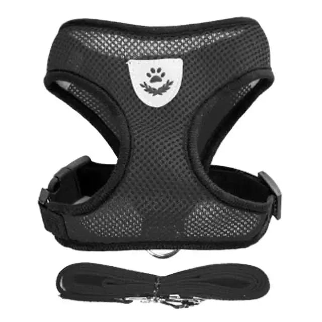 Pet Harness – Comfort and Safety in Every Step!