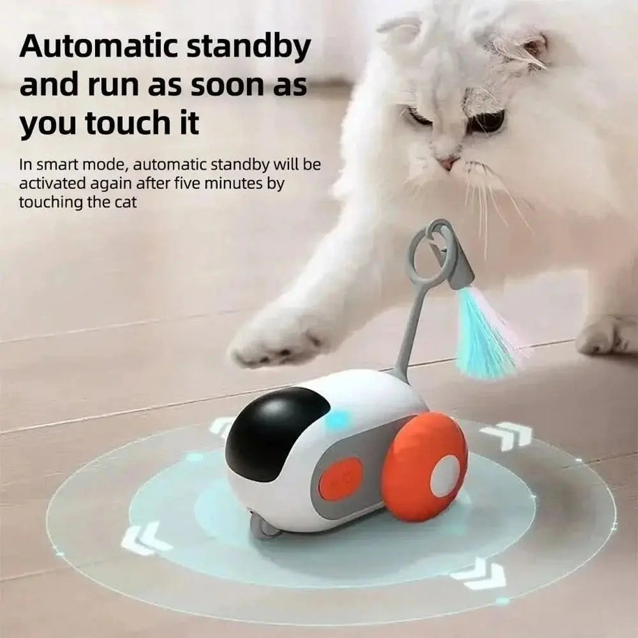 Smart Pet Playmate