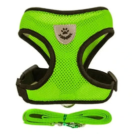 Pet Harness – Comfort and Safety in Every Step!