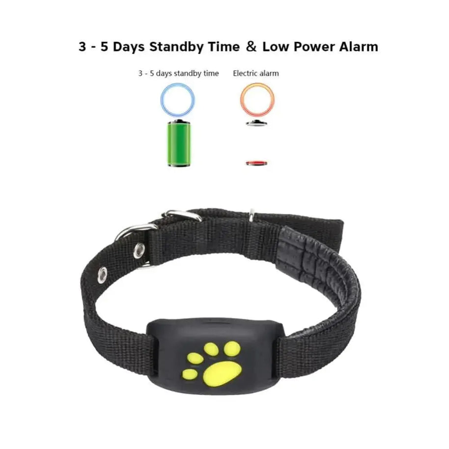 Smart Pet Locator Collar